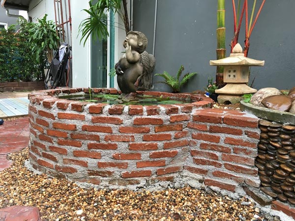 จัดสวนหลังบ้าน จัดสวนหลังบ้าน