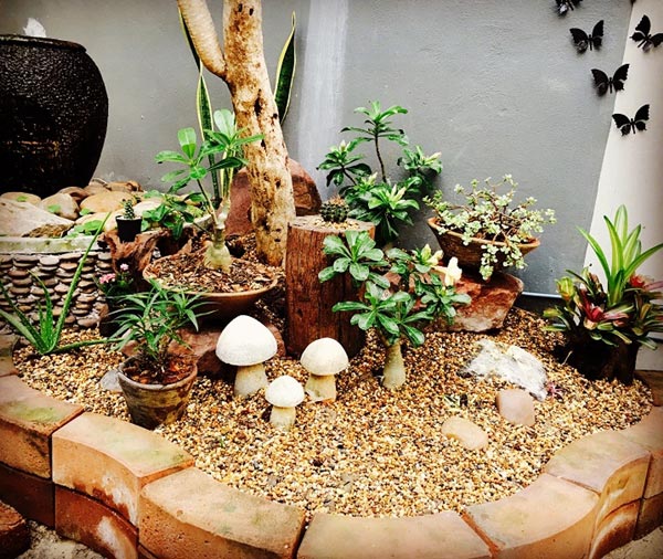 จัดสวนหลังบ้าน จัดสวนหลังบ้าน