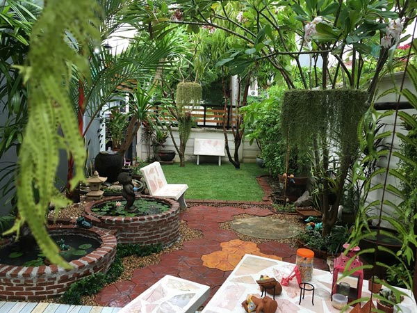 จัดสวนหลังบ้าน จัดสวนหลังบ้าน