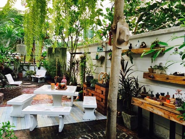 จัดสวนหลังบ้าน จัดสวนหลังบ้าน
