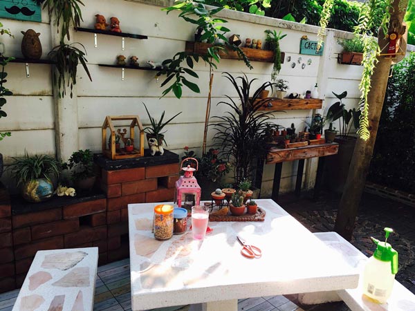 จัดสวนหลังบ้าน จัดสวนหลังบ้าน