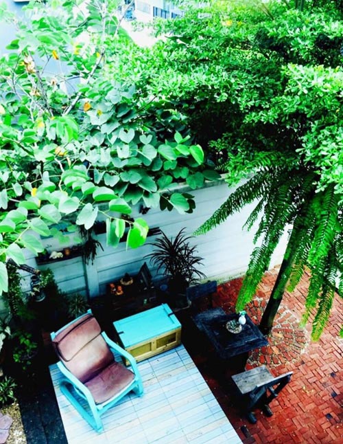 จัดสวนหลังบ้าน จัดสวนหลังบ้าน