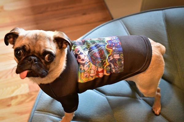 อินสตาแกรมสุนัข อินสตาแกรมสุนัข