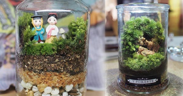 สวนขวดแก้ว สวนขวดแก้ว