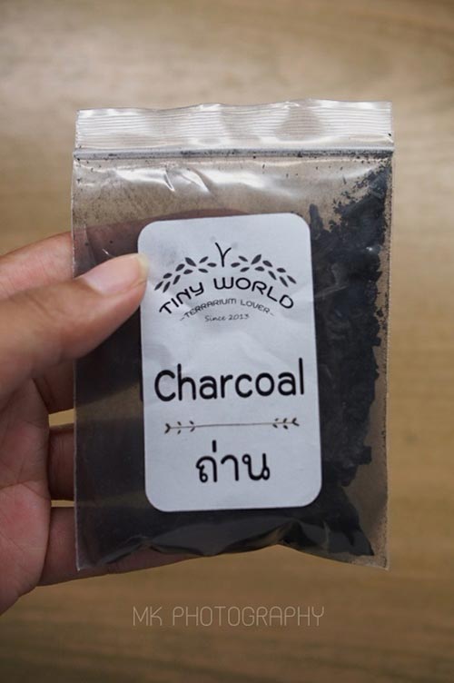 สวนขวดแก้ว สวนขวดแก้ว