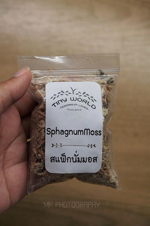 สวนขวดแก้ว สวนขวดแก้ว