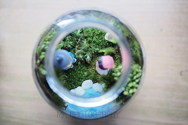สวนขวดแก้ว สวนขวดแก้ว