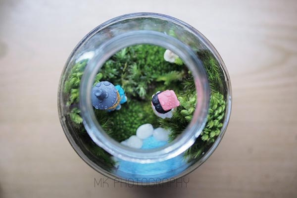 สวนขวดแก้ว สวนขวดแก้ว