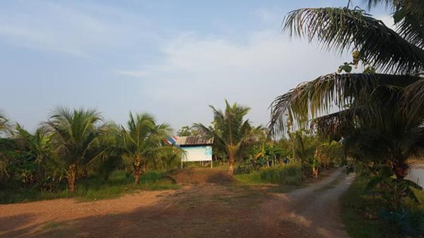 การตกแต่งบ้านสวน การตกแต่งบ้านสวน
