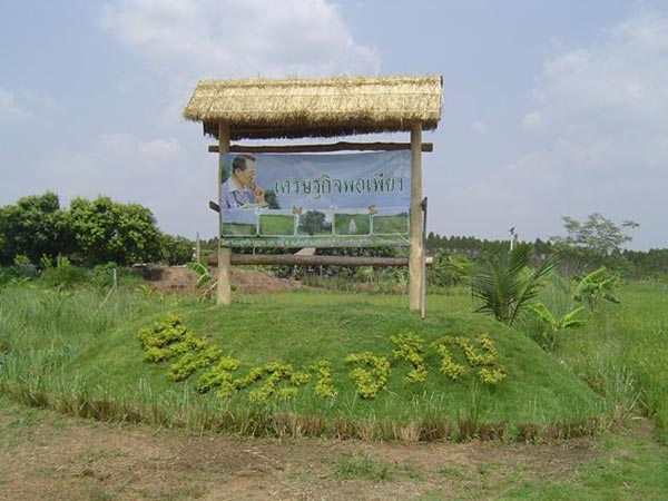 การตกแต่งบ้านสวน การตกแต่งบ้านสวน