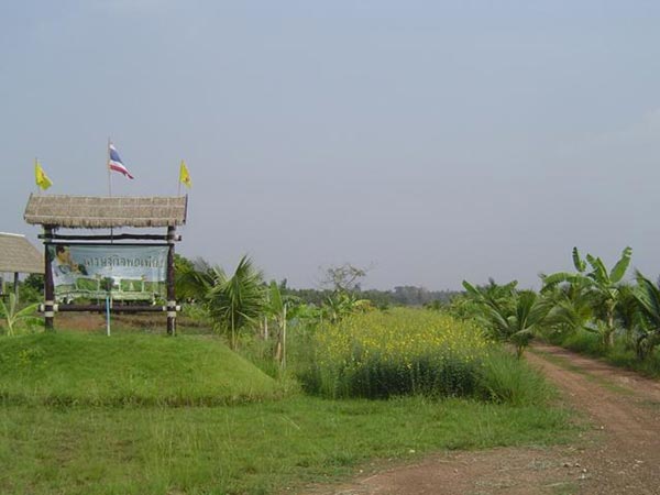 การตกแต่งบ้านสวน การตกแต่งบ้านสวน