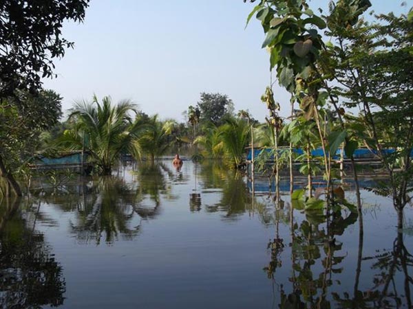 การตกแต่งบ้านสวน การตกแต่งบ้านสวน
