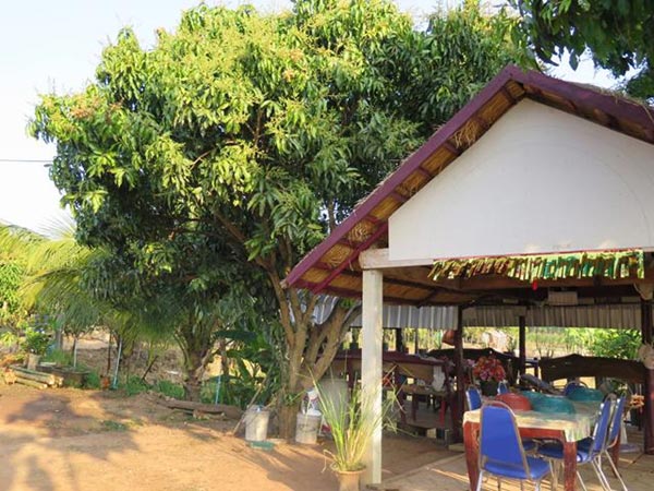 การตกแต่งบ้านสวน การตกแต่งบ้านสวน
