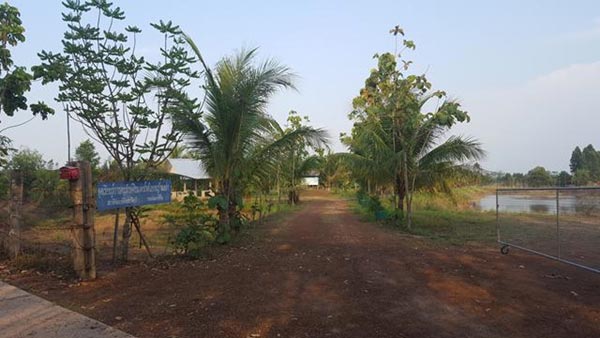 การตกแต่งบ้านสวน การตกแต่งบ้านสวน