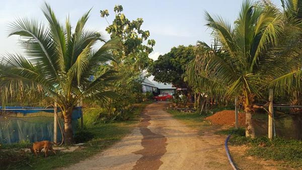 การตกแต่งบ้านสวน การตกแต่งบ้านสวน