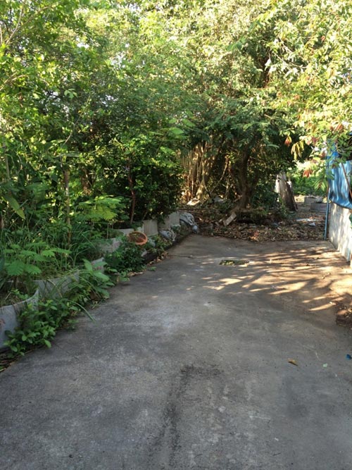 แบบบ้านโครงเหล็ก แบบบ้านโครงเหล็ก