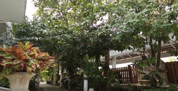 บ้านดาราไทย เต้ ปิยะรัฐ บ้านดาราไทย เต้ ปิยะรัฐ