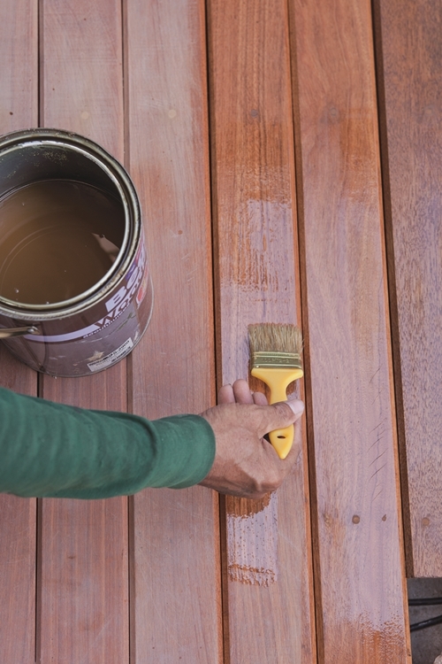 จัดสวนน้ำ จัดสวนน้ำ