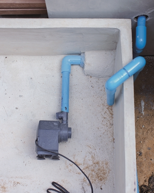 จัดสวนน้ำ จัดสวนน้ำ