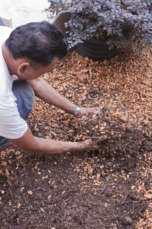 จัดสวนน้ำ จัดสวนน้ำ