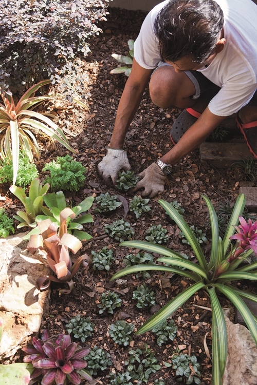 จัดสวนน้ำ จัดสวนน้ำ