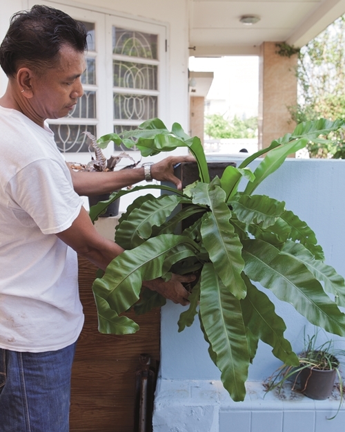 จัดสวนน้ำ จัดสวนน้ำ