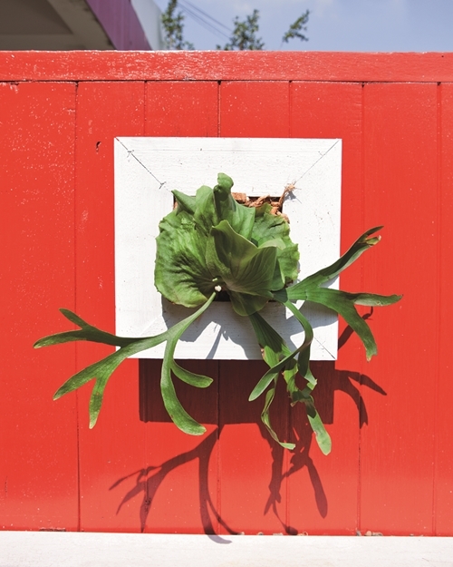 จัดสวนน้ำ จัดสวนน้ำ