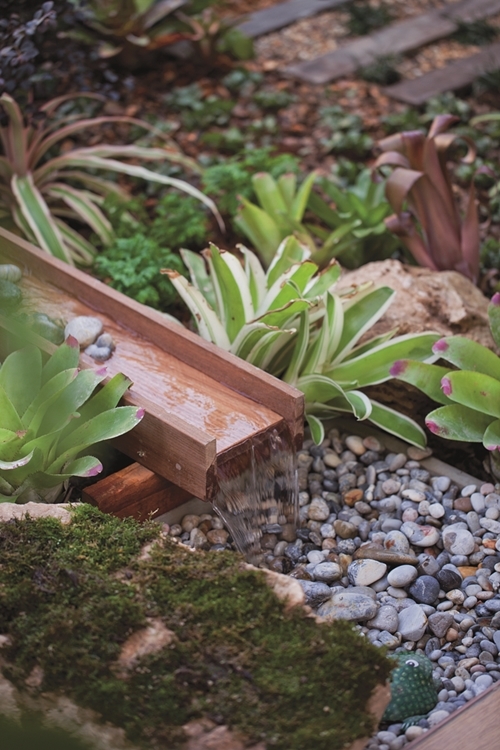 จัดสวนน้ำ จัดสวนน้ำ