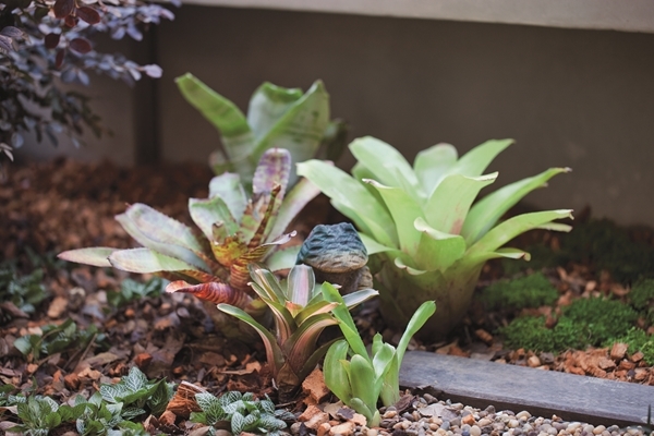 จัดสวนน้ำ จัดสวนน้ำ