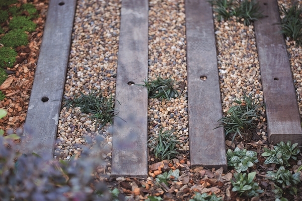 จัดสวนน้ำ จัดสวนน้ำ