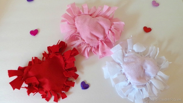 DIY ของขวัญวาเลนไทน์สำหรับสัตว์เลี้ยง DIY ของขวัญวาเลนไทน์สำหรับสัตว์เลี้ยง