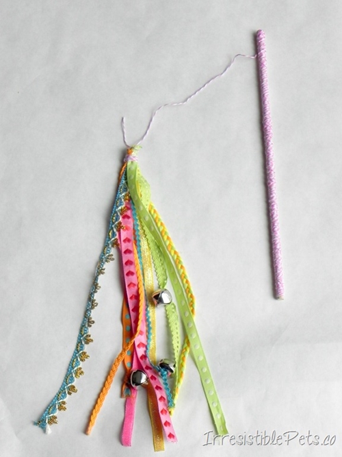 DIY ของขวัญวาเลนไทน์สำหรับสัตว์เลี้ยง DIY ของขวัญวาเลนไทน์สำหรับสัตว์เลี้ยง