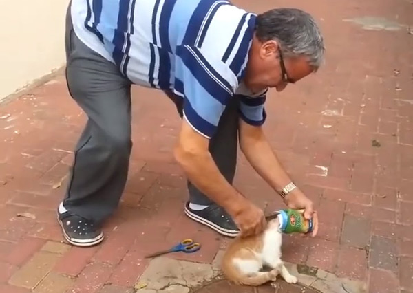 หัวแมวติดกระป๋อง หัวแมวติดกระป๋อง