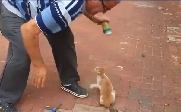 หัวแมวติดกระป๋อง หัวแมวติดกระป๋อง