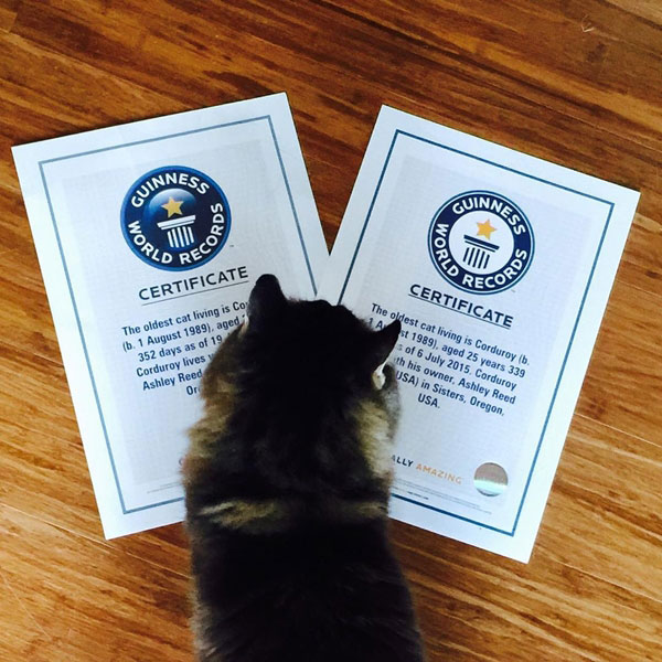 แมวอายุยืนที่สุดในโลก แมวอายุยืนที่สุดในโลก
