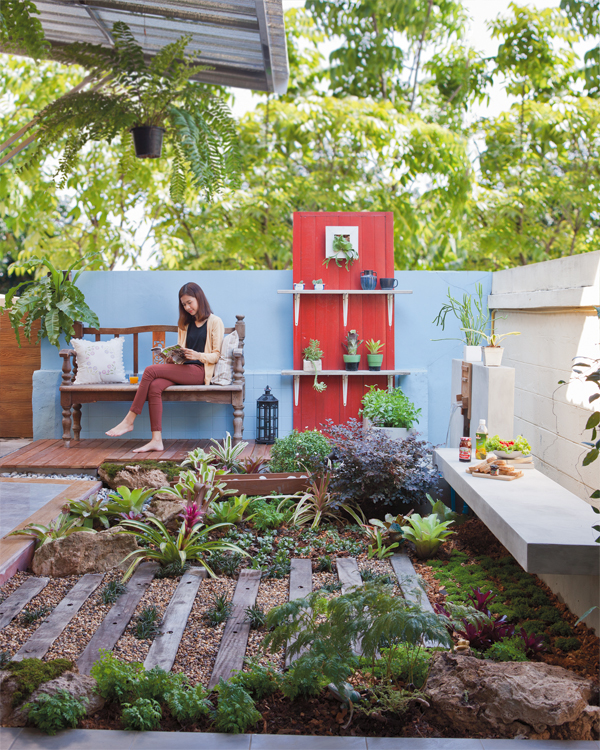 จัดสวนน้ำ จัดสวนน้ำ