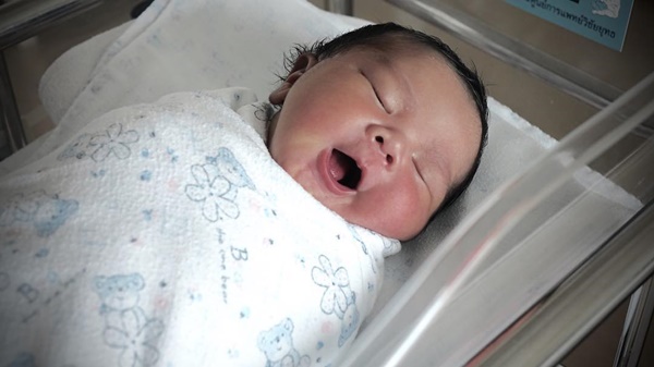 น้องอดัม น้องอดัม