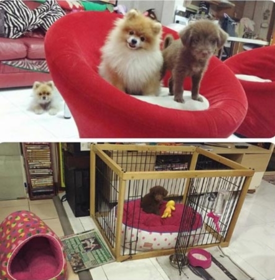 แหวนแหวน ปวริศา แหวนแหวน ปวริศา