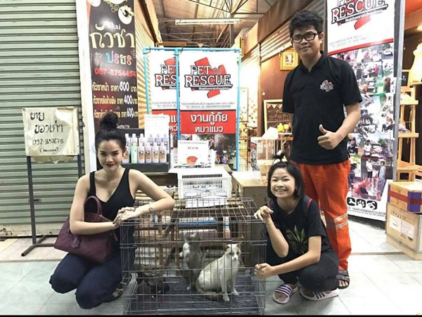 แห่แชร์ภาพแมวถูกทิ้งใส่กระสอบยกคอก แห่แชร์ภาพแมวถูกทิ้งใส่กระสอบยกคอก