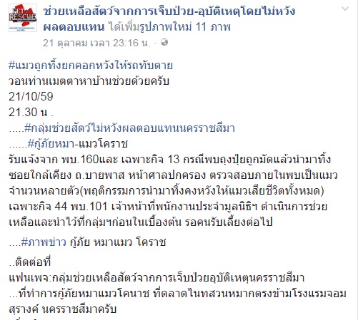 แห่แชร์ภาพแมวถูกทิ้งใส่กระสอบยกคอก แห่แชร์ภาพแมวถูกทิ้งใส่กระสอบยกคอก