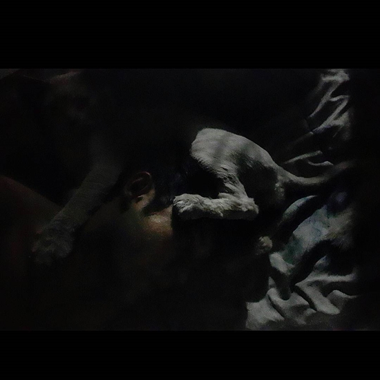 แอนดริว เกร้กสัน แอนดริว เกร้กสัน