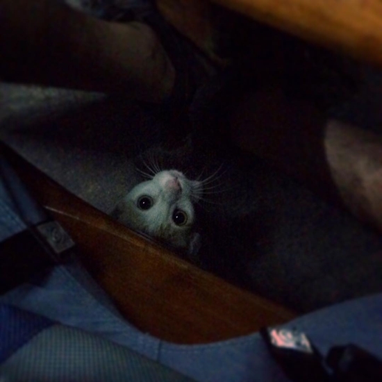 แอนดริว เกร้กสัน แอนดริว เกร้กสัน