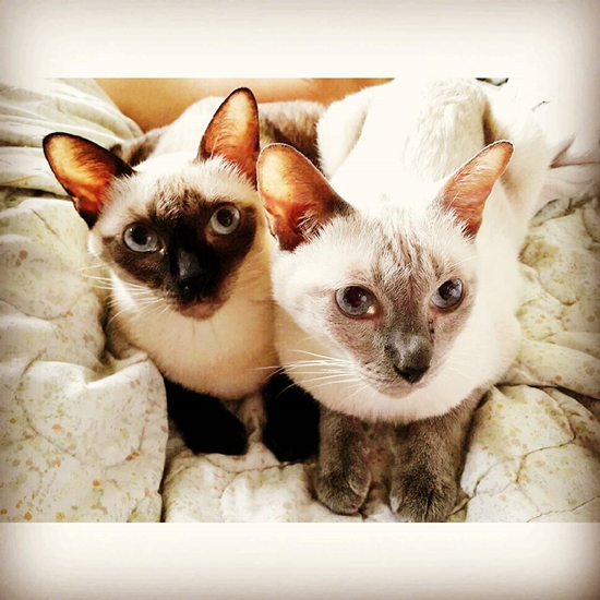 แอนดริว เกร้กสัน แอนดริว เกร้กสัน