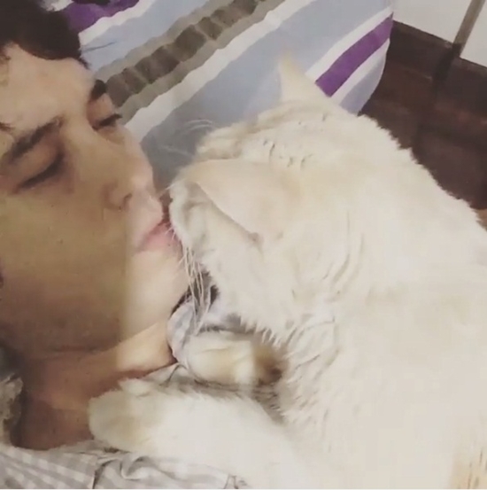 แอนดริว เกร้กสัน แอนดริว เกร้กสัน