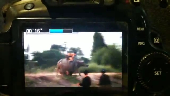 ใบเตย-มาร์ติน พลัดตกควายกลางกองถ่าย ใบเตย-มาร์ติน พลัดตกควายกลางกองถ่าย