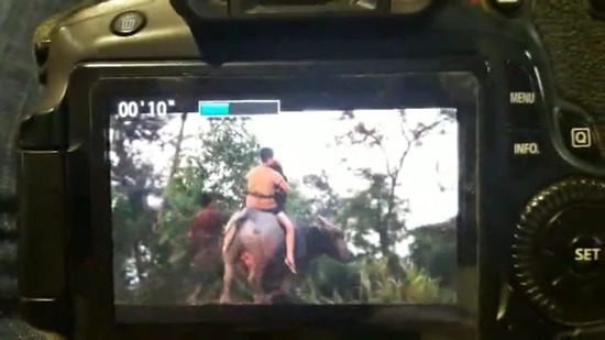 ใบเตย-มาร์ติน พลัดตกควายกลางกองถ่าย ใบเตย-มาร์ติน พลัดตกควายกลางกองถ่าย