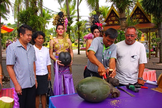 มะพร้าวก้นสาว มะพร้าวก้นสาว