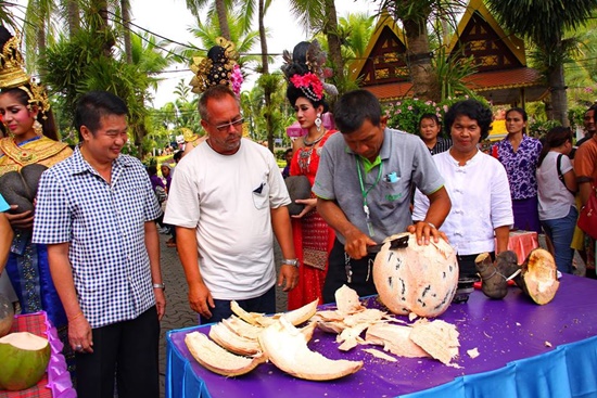 มะพร้าวก้นสาว มะพร้าวก้นสาว