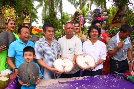 มะพร้าวก้นสาว มะพร้าวก้นสาว