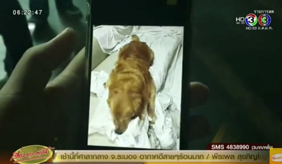 นุ่น สินิทธา เพื่อนบ้าน นุ่น สินิทธา เพื่อนบ้าน